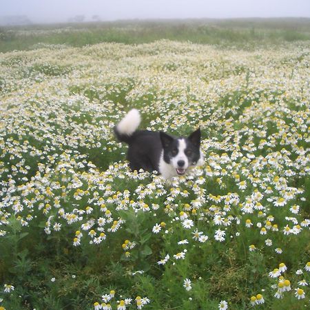 北海道 Kiritappuriゲストハウス エクステリア 写真