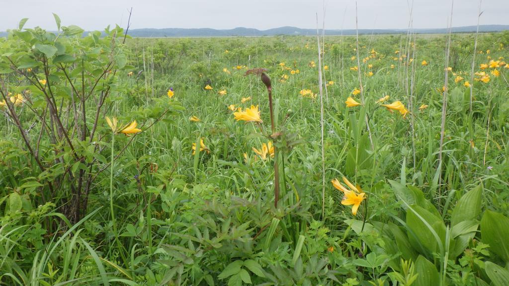 北海道 Kiritappuriゲストハウス エクステリア 写真