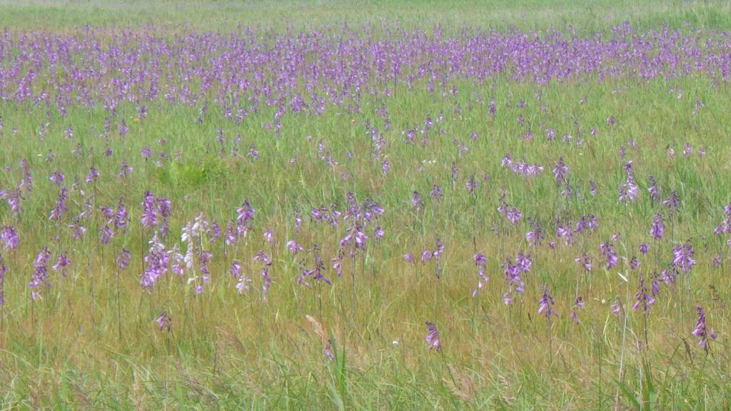 北海道 Kiritappuriゲストハウス エクステリア 写真