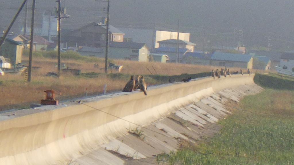 北海道 Kiritappuriゲストハウス エクステリア 写真