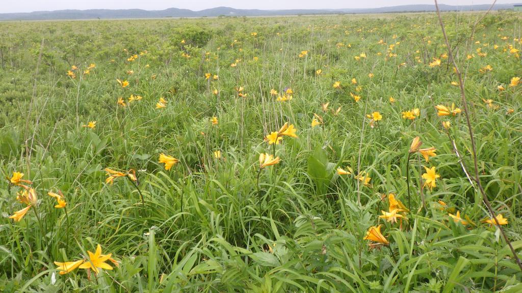北海道 Kiritappuriゲストハウス エクステリア 写真