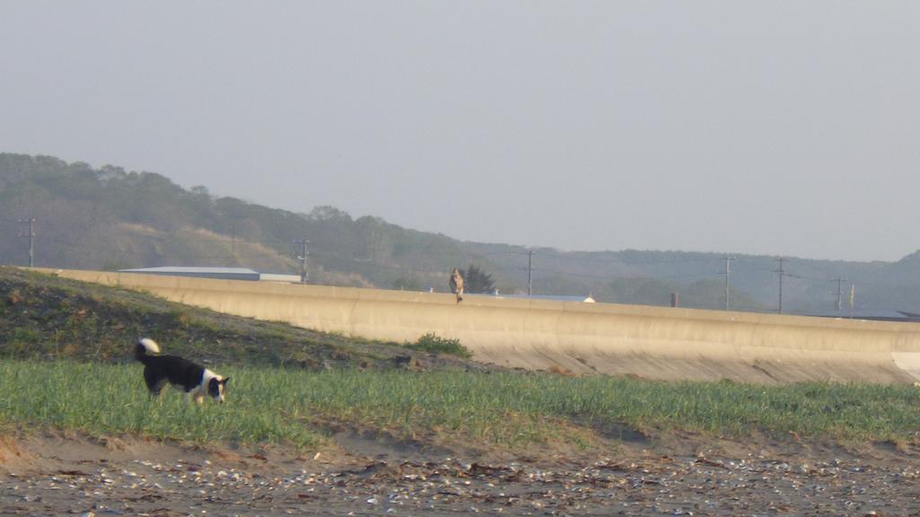 北海道 Kiritappuriゲストハウス エクステリア 写真